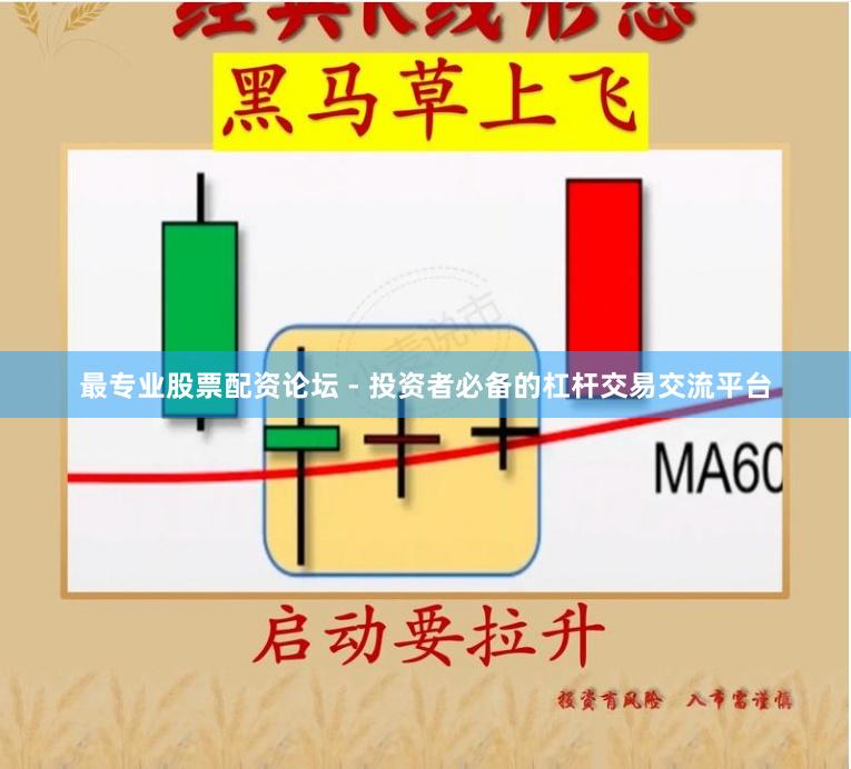 最专业股票配资论坛 - 投资者必备的杠杆交易交流平台